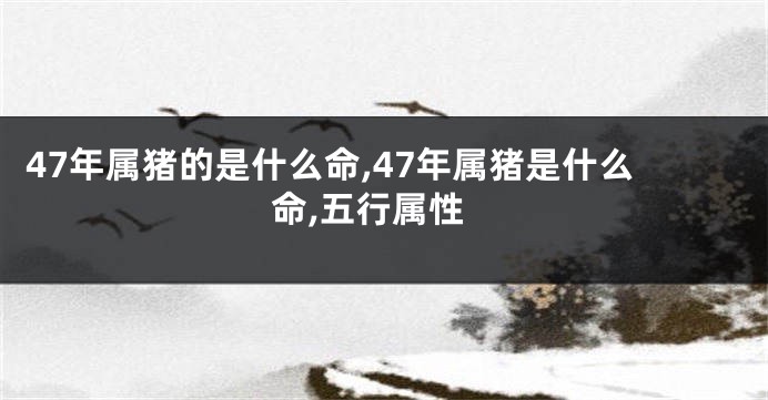 47年属猪的是什么命,47年属猪是什么命,五行属性