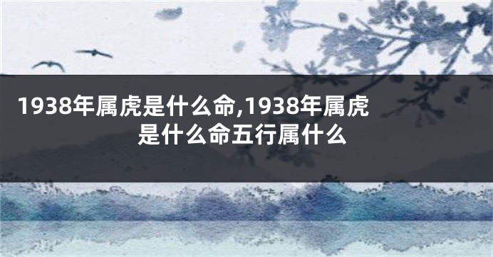 1938年属虎是什么命,1938年属虎是什么命五行属什么
