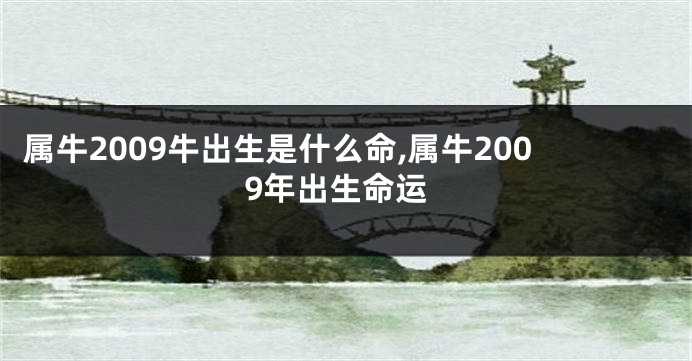 属牛2009牛出生是什么命,属牛2009年出生命运