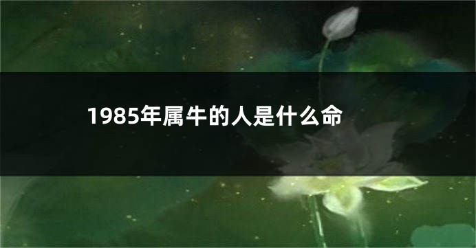 1985年属牛的人是什么命