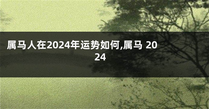 属马人在2024年运势如何,属马 2024