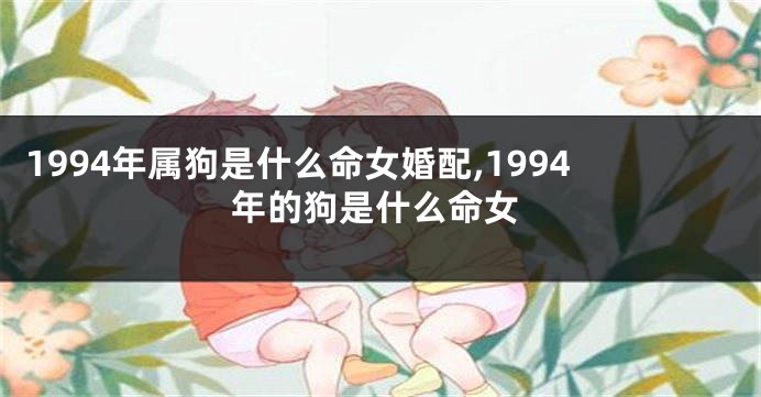 1994年属狗是什么命女婚配,1994年的狗是什么命女