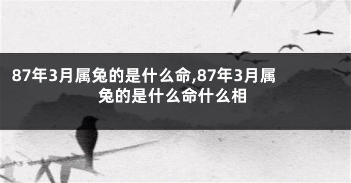 87年3月属兔的是什么命,87年3月属兔的是什么命什么相