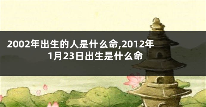 2002年出生的人是什么命,2012年1月23日出生是什么命