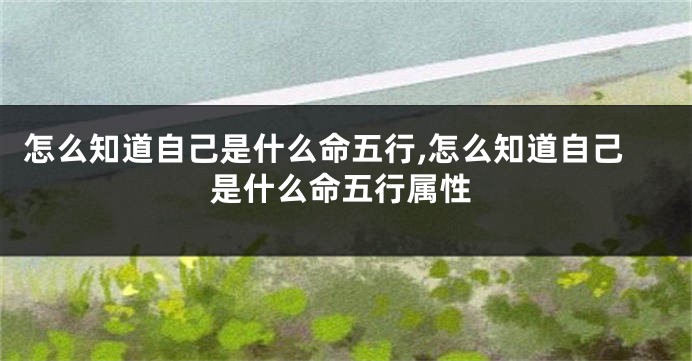 怎么知道自己是什么命五行,怎么知道自己是什么命五行属性