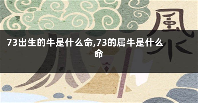 73出生的牛是什么命,73的属牛是什么命
