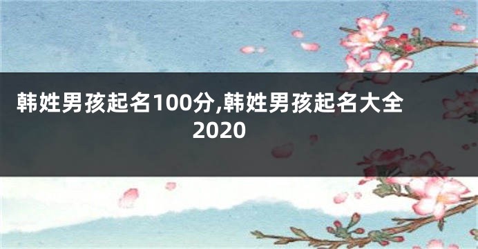 韩姓男孩起名100分,韩姓男孩起名大全2020