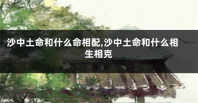 沙中土命和什么命相配,沙中土命和什么相生相克