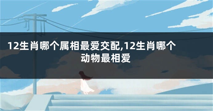 12生肖哪个属相最爱交配,12生肖哪个动物最相爱