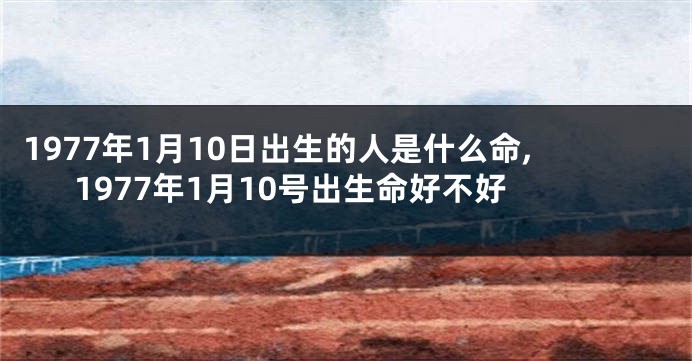 1977年1月10日出生的人是什么命,1977年1月10号出生命好不好