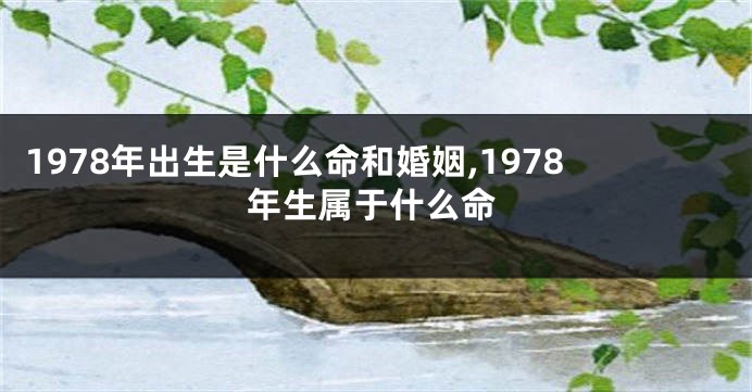 1978年出生是什么命和婚姻,1978年生属于什么命