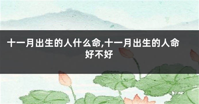 十一月出生的人什么命,十一月出生的人命好不好