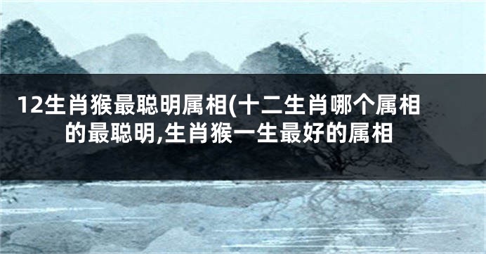 12生肖猴最聪明属相(十二生肖哪个属相的最聪明,生肖猴一生最好的属相
