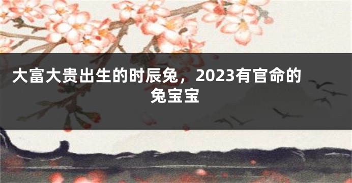 大富大贵出生的时辰兔，2023有官命的兔宝宝