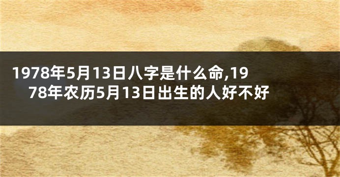 1978年5月13日八字是什么命,1978年农历5月13日出生的人好不好