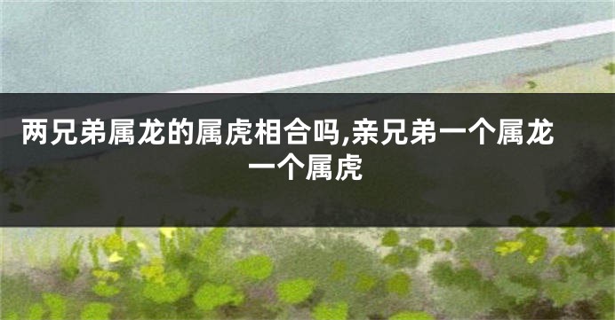 两兄弟属龙的属虎相合吗,亲兄弟一个属龙一个属虎