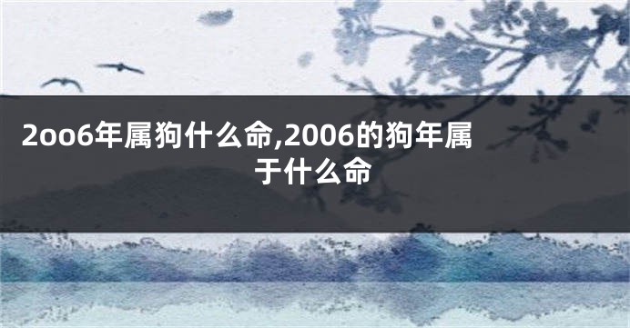 2oo6年属狗什么命,2006的狗年属于什么命