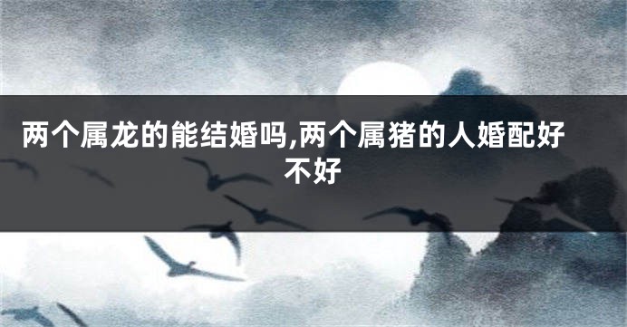 两个属龙的能结婚吗,两个属猪的人婚配好不好