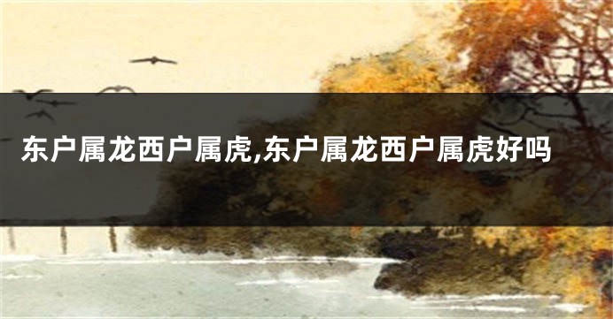 东户属龙西户属虎,东户属龙西户属虎好吗