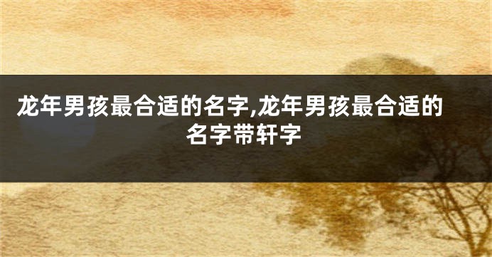 龙年男孩最合适的名字,龙年男孩最合适的名字带轩字