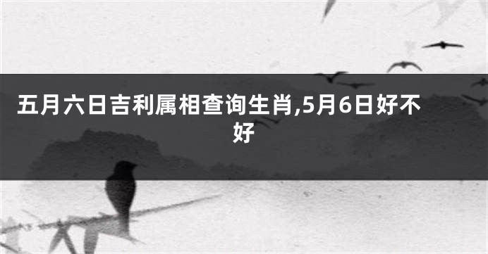 五月六日吉利属相查询生肖,5月6日好不好