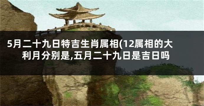 5月二十九日特吉生肖属相(12属相的大利月分别是,五月二十九日是吉日吗