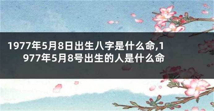 1977年5月8日出生八字是什么命,1977年5月8号出生的人是什么命