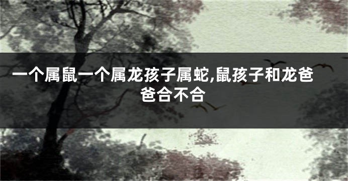 一个属鼠一个属龙孩子属蛇,鼠孩子和龙爸爸合不合