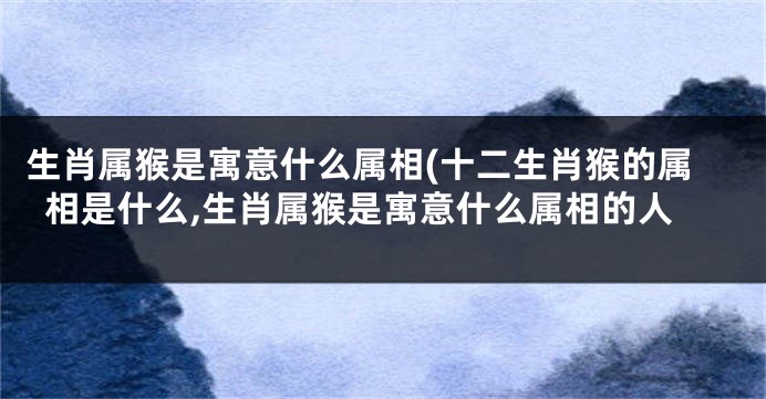 生肖属猴是寓意什么属相(十二生肖猴的属相是什么,生肖属猴是寓意什么属相的人