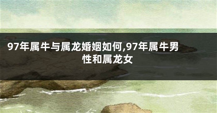 97年属牛与属龙婚姻如何,97年属牛男性和属龙女