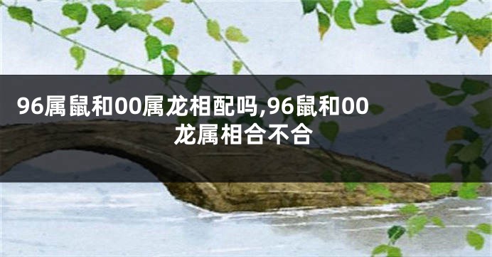 96属鼠和00属龙相配吗,96鼠和00龙属相合不合