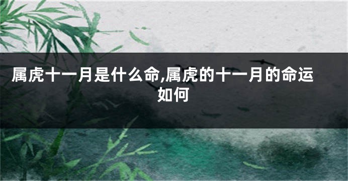 属虎十一月是什么命,属虎的十一月的命运如何