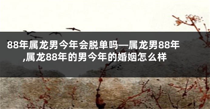 88年属龙男今年会脱单吗—属龙男88年,属龙88年的男今年的婚姻怎么样