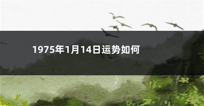 1975年1月14日运势如何