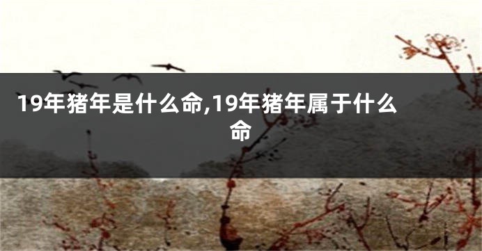 19年猪年是什么命,19年猪年属于什么命