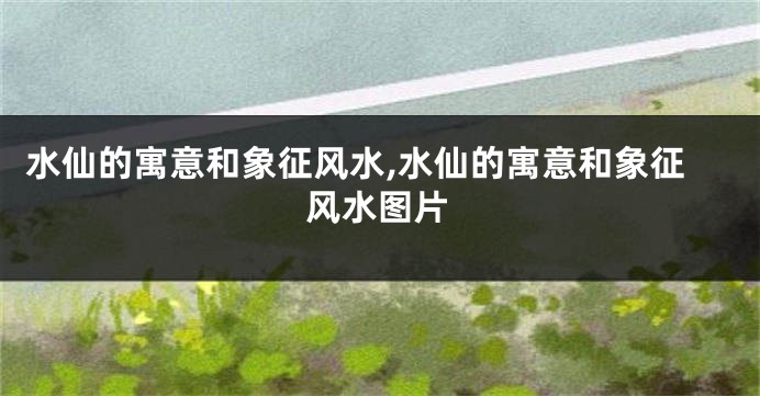 水仙的寓意和象征风水,水仙的寓意和象征风水图片