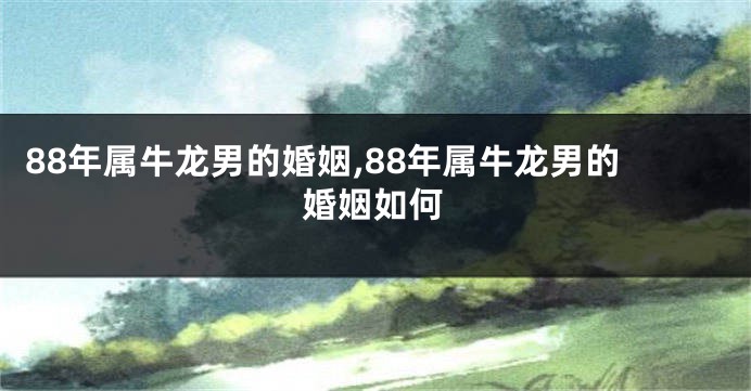 88年属牛龙男的婚姻,88年属牛龙男的婚姻如何