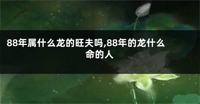 88年属什么龙的旺夫吗,88年的龙什么命的人
