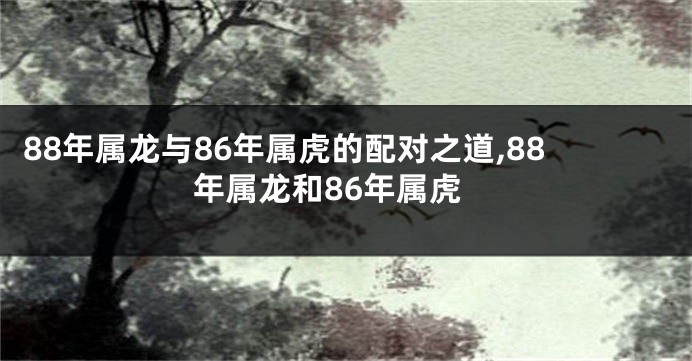 88年属龙与86年属虎的配对之道,88年属龙和86年属虎