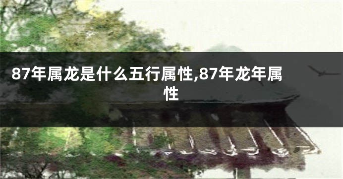 87年属龙是什么五行属性,87年龙年属性