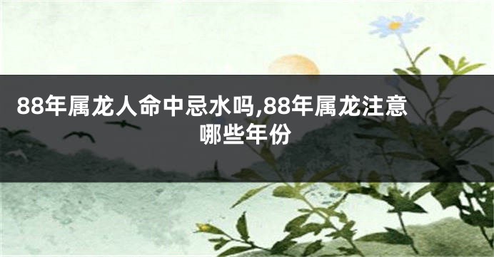 88年属龙人命中忌水吗,88年属龙注意哪些年份