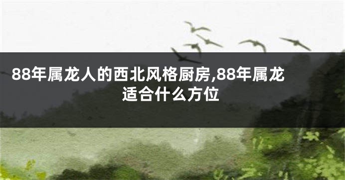 88年属龙人的西北风格厨房,88年属龙适合什么方位