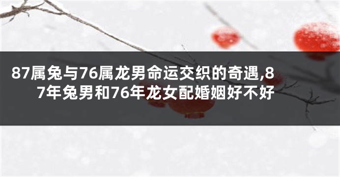 87属兔与76属龙男命运交织的奇遇,87年兔男和76年龙女配婚姻好不好