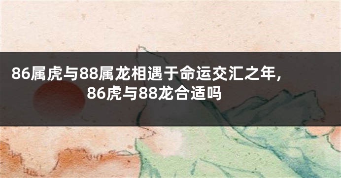 86属虎与88属龙相遇于命运交汇之年,86虎与88龙合适吗