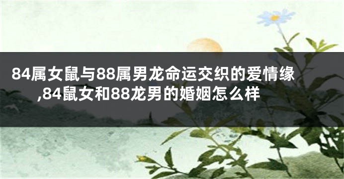 84属女鼠与88属男龙命运交织的爱情缘,84鼠女和88龙男的婚姻怎么样