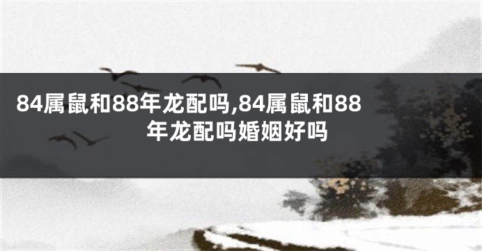 84属鼠和88年龙配吗,84属鼠和88年龙配吗婚姻好吗