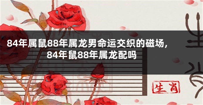 84年属鼠88年属龙男命运交织的磁场,84年鼠88年属龙配吗