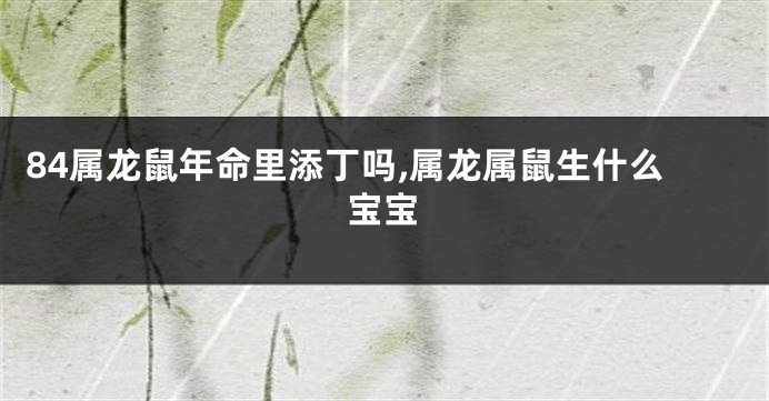 84属龙鼠年命里添丁吗,属龙属鼠生什么宝宝