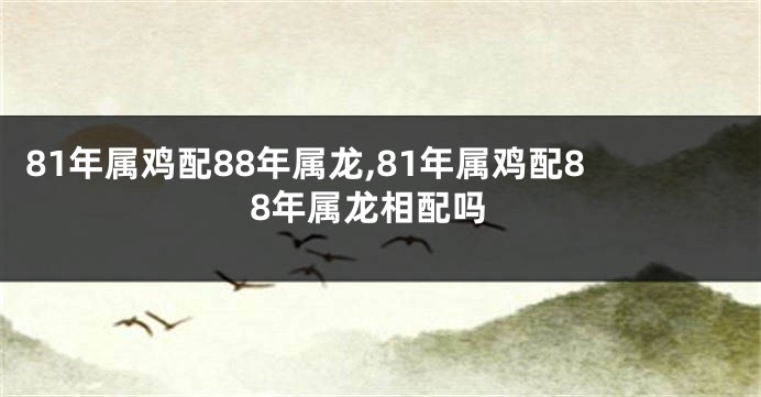 81年属鸡配88年属龙,81年属鸡配88年属龙相配吗