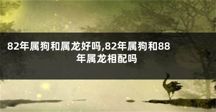 82年属狗和属龙好吗,82年属狗和88年属龙相配吗